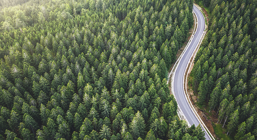 Photo of a road winding through a forest